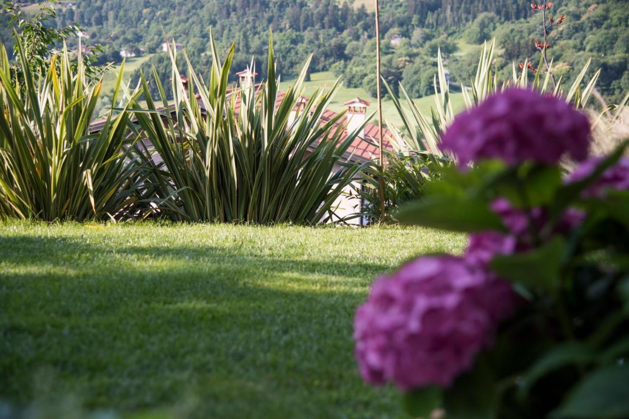 Вилла La Casa Di Emy Solto Collina Экстерьер фото