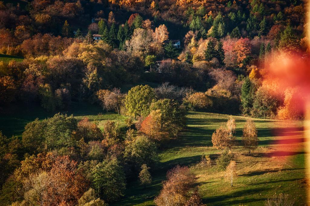 Вилла La Casa Di Emy Solto Collina Номер фото